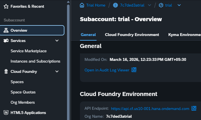 Cloud Foundry API endpoint and org details